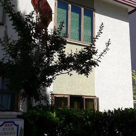 常青住宿加早餐旅馆 梅斯特雷