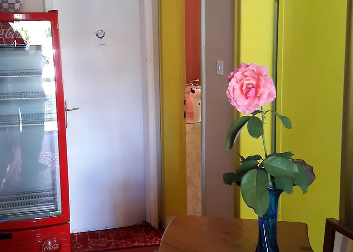 Alojamento de Acomodação e Pequeno-almoço Ever